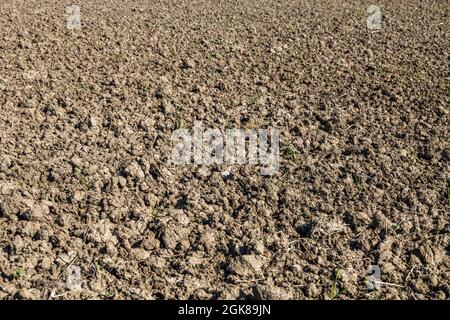 Terreno agricolo recentemente arato e preparato per il raccolto Foto Stock