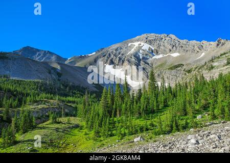 cima rocciosa di montagna lungo il fronte roccioso di montagna vicino al torrente sede del passo nella foresta nazionale di lewis e clark vicino choteau, montana Foto Stock