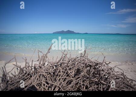 Cumulo di piante secche su spiaggia sabbiosa bagnata da mare turchese trasparente con colline all'orizzonte in Malesia Foto Stock