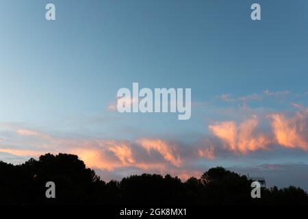 Vista del paesaggio di alte e lussureggianti silhouette di alberi sotto le nuvole soffici nel cielo blu al tramonto Foto Stock