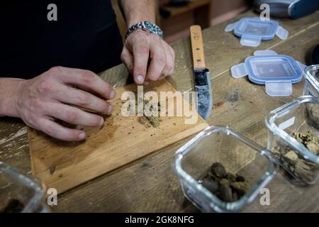 Raccolto anonimo maschio sbriciolante germogli di fiori di marijuana essiccati sul tagliere contro coltello in camera Foto Stock