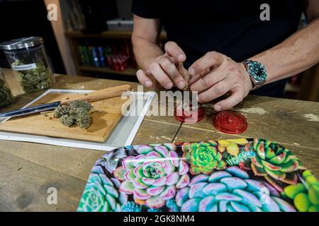 Crop anonimo maschio preparazione germogli di fiori di canapa essiccati sopra il tritatutto sul tavolo con vassoio nello spazio di lavoro Foto Stock