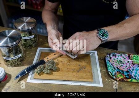 Crop anonimo maschio in orologio da polso con terra asciutta foglie di marijuana su carta di sigaretta sopra boccioli di fiori sul tagliere Foto Stock