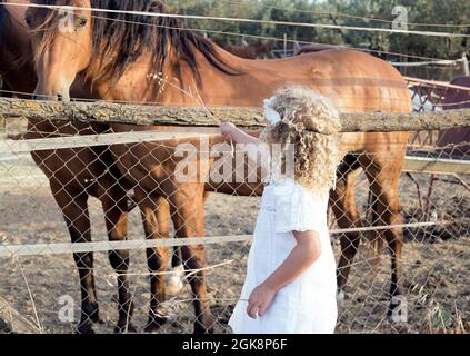 Bambina bionda che alimenta un cavallo in una stalla Foto Stock