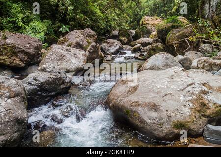 Rapide del fiume Rio hornito a Panama Foto Stock