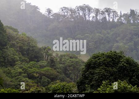 Giornata di pioggia vicino a Boquete, Panama Foto Stock