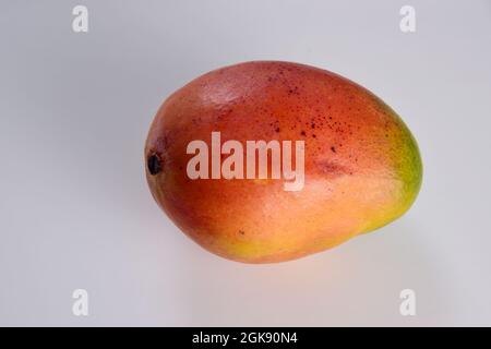 un mango maturo con un mix di toni rossi e arancioni Foto Stock