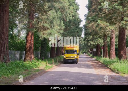 Sequoia gigante, sequoia gigante (Sequoiadendron giganteum), vicolo sequoia gigante al Giardino Botanico con furgone postale, Germania, Amburgo, Flottbek, Foto Stock