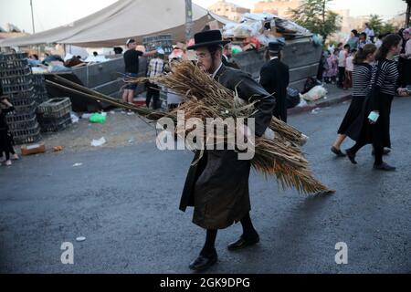 Gerusalemme, Gerusalemme. 13 settembre 2021. Un uomo ebreo ultraortodosso porta rami di palma per costruire un sukkah da utilizzare durante la settimana di festa ebraica di Sukkot a Mea Shearim, Gerusalemme, il 13 settembre 2021. Credit: Muammar Awad/Xinhua/Alamy Live News Foto Stock
