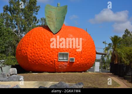 Il Big Mandarin a Mundubbera, nella regione del Burnett settentrionale, Queensland è una scultura in vetroresina sovradimensionata di un mandarino Ellendale. Foto Stock