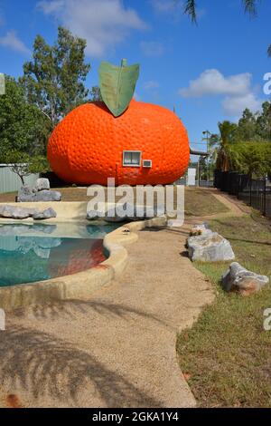 Il Big Mandarin a Mundubbera, nella regione del Burnett settentrionale, Queensland è una scultura in vetroresina sovradimensionata di un mandarino Ellendale. Foto Stock