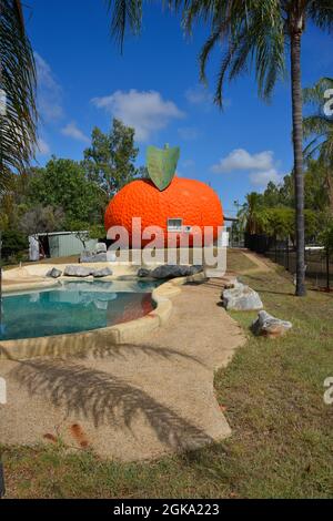 Il Big Mandarin a Mundubbera, nella regione del Burnett settentrionale, Queensland è una scultura in vetroresina sovradimensionata di un mandarino Ellendale. Foto Stock