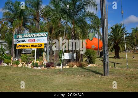 Il Big Mandarin a Mundubbera, nella regione del Burnett settentrionale, Queensland è una scultura in vetroresina sovradimensionata di un mandarino Ellendale. Foto Stock