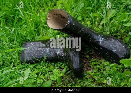 Un paio di stivali in gomma nera nel gras verde Foto Stock