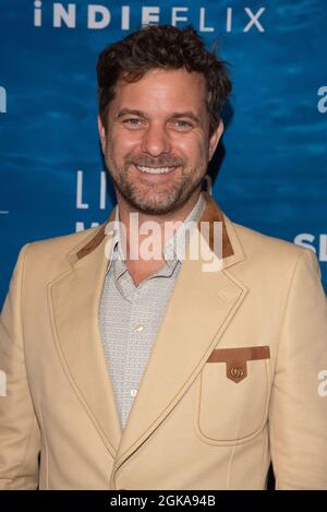 Toronto, Canada. 13 settembre 2021. Joshua Jackson partecipa al The Big Splash del Liquid Media Group all'hotel Windsor Arms durante il Toronto International Film Festival 2021 a Toronto il 13 settembre 2021. Credit: EXImages/Alamy Live News Foto Stock