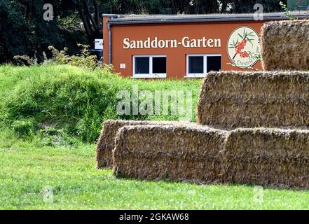 13 settembre 2021, Brandeburgo, Werder (Havel): Il giardino del fiabco di mare Petzow è un giardino di frutta e di esperienza e un sito di produzione di spettacolo della Christine Berger GmbH & Co. KG sul tema del fiabco di mare. Un negozio di fattoria e un mercato di specialità offrono prodotti biologici della regione. L'hotel mette inoltre a disposizione una caffetteria e un ristorante. Foto: Jens Kalaene/dpa-Zentralbild/ZB Foto Stock