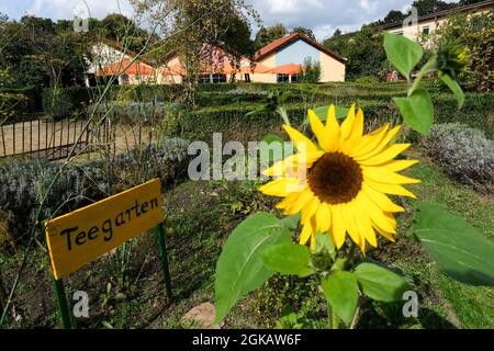 13 settembre 2021, Brandeburgo, Werder (Havel): Il giardino del fiabco di mare Petzow è un giardino di frutta e di esperienza e un sito di produzione di spettacolo della Christine Berger GmbH & Co. KG sul tema del fiabco di mare. Un negozio di fattoria e un mercato di specialità offrono prodotti biologici della regione. L'hotel mette inoltre a disposizione una caffetteria e un ristorante. Foto: Jens Kalaene/dpa-Zentralbild/ZB Foto Stock