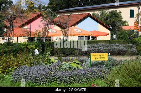 13 settembre 2021, Brandeburgo, Werder (Havel): Un giardino di apothecary è segnalato nel giardino del buckhorn del mare di Petzow. Come frutteto ed esperienza giardino, lo stabilimento è un sito di produzione mostra di Christine Berger GmbH & Co. KG sul tema del buckhorn del mare. Un negozio di fattoria e un mercato di specialità offrono prodotti biologici della regione. L'hotel mette inoltre a disposizione una caffetteria e un ristorante. Foto: Jens Kalaene/dpa-Zentralbild/ZB Foto Stock