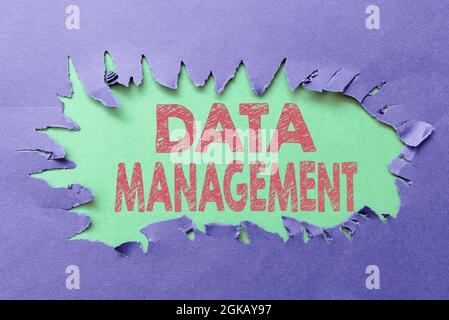 Scrittura visualizzazione del testo Gestione dati. Concetto significa discipline correlate alla gestione dei dati come risorsa preziosa pensando ai nuovi concetti di scrittura Foto Stock
