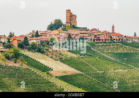 Splendida vista su Serralunga d'Alba con il castello e vigneti nebbiolo, Piemonte, Langhe e patrimonio dell'umanità dell'UNESCO, Italia Foto Stock