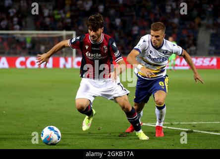 BOLOGNA, ITALIA - SETTEMBRE 13: Riccardo Orsolini di Bologna FC compete per la palla con Darko Lazovic di Hellas Verona FC, durante la Serie A match tra Bologna FC e Hellas Verona FC allo Stadio Renato Dall'Ara il 13 Settembre 2021 a Bologna. (Foto tramite MB Media) Foto Stock