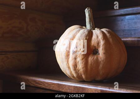 Una grande zucca arancione matura si trova sui gradini di una scala di legno. Halloween, Ringraziamento. Verdure di festa tradizionali. Sfondo autunno Foto Stock