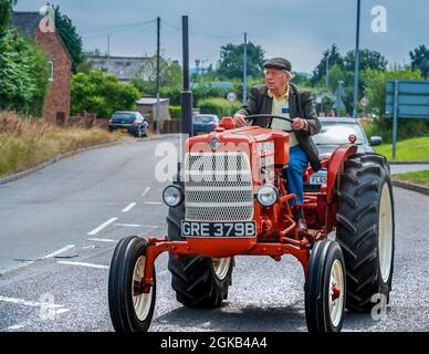 Un trattore Diphomatic Allis Chalmers ed-40. Foto Stock