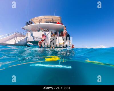 I turisti si preparano a fare immersioni dal retro di una barca subacquea, Grande barriera Corallina, Queensland, QLD, Australia Foto Stock