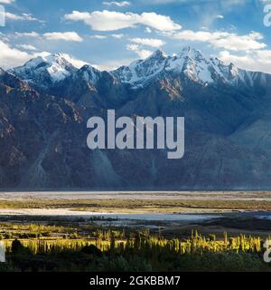 Valle di Nubra - himalaya indiana - Ladakh - Jammu e. Kashmir - India Foto Stock