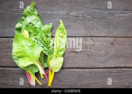 Foglie di arcobaleno svizzero o di arcobaleno svizzero appena selezionate Foto Stock