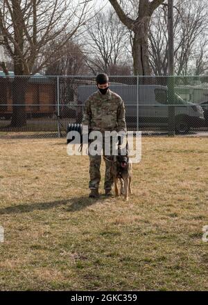 Personale Sgt. Alexander Schmitt, 88th Security Forces Squadron militare che lavora cane gestore, prende un momento per guardare il suo partner Flex mentre attraverso l'obbedienza formazione alla Wright-Patterson Air Force base, Ohio, 9 marzo 2021. I dispositivi MWD contribuiscono alla sicurezza di Wright-Patt con capacità di rilevamento e prevenzione delle minacce improvvisate ai dispositivi esplosivi sulla base. Essi forniscono anche un deterrente psicologico contro la criminalità. Foto Stock