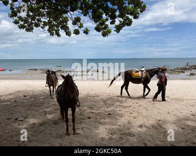 Hua Hin, Tailandia. 10 Settembre 2021. I residenti della popolare località turistica di Hua Hin sulla terraferma tailandese sono ancora in attesa di visitatori - come qui sulla spiaggia con i loro cavalli, che sono disponibili per le escursioni. (A dpa: 'La Thailandia per sollevare in gran parte la quarantena per le persone vaccinate da ottobre') Credit: Carola Frentzen/dpa/Alamy Live News Foto Stock