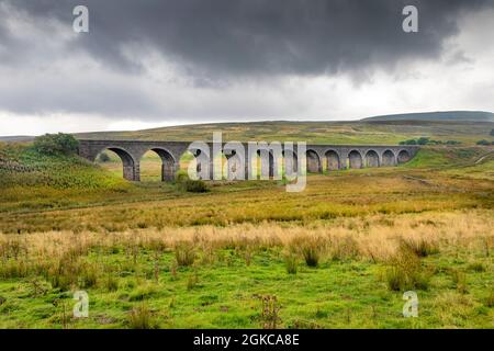 Dandry Mire Viaduct (o Dandrymire Viaduct), è un viadotto ferroviario situato sulla linea Settle–Carlisle di Cumbria, in Inghilterra. Foto Stock