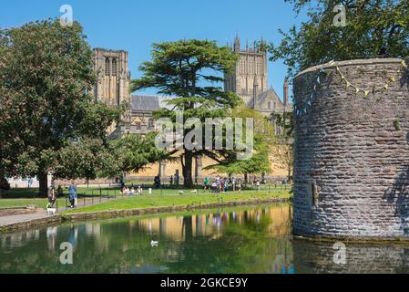 Wells, vista in estate della Cattedrale di Wells e l'angolo nord-ovest dei Bishop's Palace Gardens e fossato, Wells, Somerset, Inghilterra, Regno Unito Foto Stock