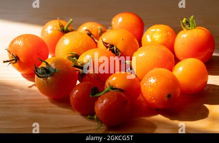 Pomodori Tom freschi Tumbling completi con i loro gambi e piccole gocce d'acqua su un tagliere di legno Foto Stock