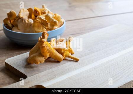 Funghi Golden chanterelle su tagliere in legno in cucina. Sul tavolo c'è una ciotola piena di chanterelle fresche. Foto scattata in Svezia. Foto Stock