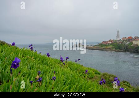 collina piena di piante fiorite e un faro marittimo sulla costa del mare nero vicino istanbul Foto Stock