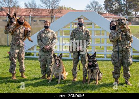 Da sinistra a destra, il cane da lavoro militare Aarapaho, il personale dell'aeronautica degli Stati Uniti Sgt. Alexa Ammerman, Senior Airman Shayna Weers, MWD ben, staff Sgt. Aprile Ray, MWD Gyozo, Senior Airman Jennifer James e MWD Daria, tutti assegnati al 60esimo Squadrone delle forze di sicurezza, si trovano di fronte a un ostacolo di formazione K-9 il 16 marzo 2021, presso la base dell'aeronautica di Travis, California. I gestori addestrano personalmente il cane assegnato alle forze dell'ordine, incluso come rilevare droghe ed esplosivi. Foto Stock