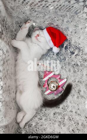 Piccolo gattino bianco dorme dolcemente adagiato sul suo lato su una sciarpa leggera e morbida in maglia in un cappello Santa. L'atmosfera di Natale vacanze accoglienti. La vita Foto Stock