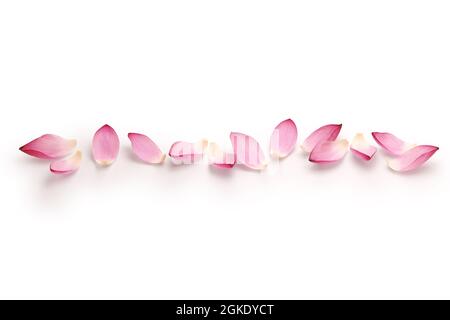 design linea petali fiori di loto Foto Stock