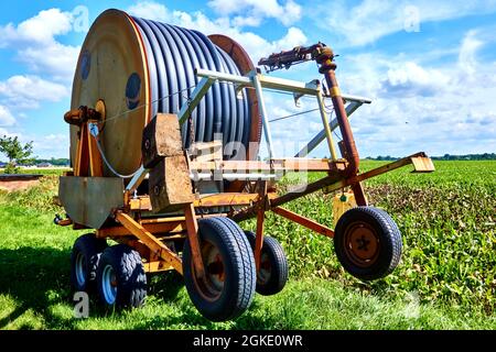 Il carrello del tubo si trova sul bordo di un campo con le barbabietole da zucchero pronte per l'irrigazione Foto Stock