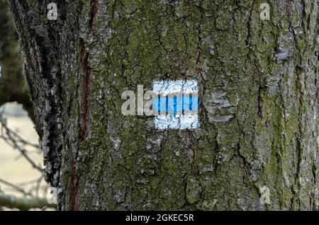 contrassegno blu sull'albero Foto Stock