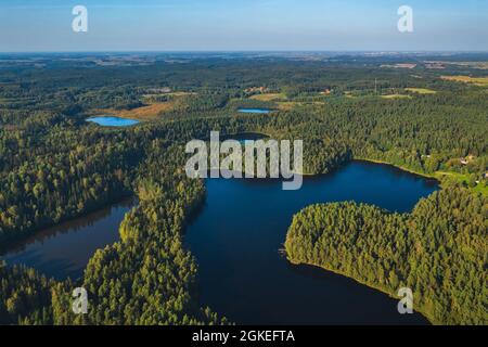 Veduta aerea del lago selvaggio in Lituania Foto Stock