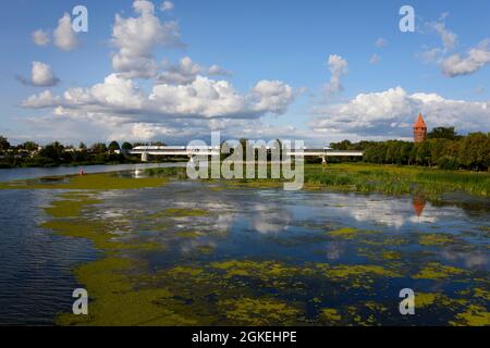 Fiume Nogat, Malbork, Pomerania, Polonia Foto Stock