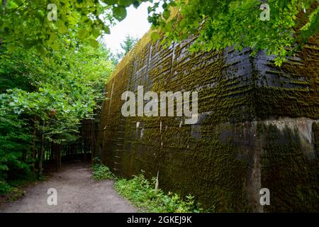 Bunker, insediamento forestale, Mamerki, Wegorzewo, Warmia-Masuria, Muro foresta, Angerburg, Warminsko-Mazurskie, Polonia Foto Stock