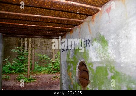 Bunker, insediamento forestale, Mamerki, Wegorzewo, Warmia-Masuria, Muro foresta, Angerburg, Warminsko-Mazurskie, Polonia Foto Stock