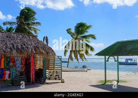 Villaggio di Pescatori di mano Juan, Isla Saona Island, Parque Nacional del Este, Repubblica Dominicana Foto Stock