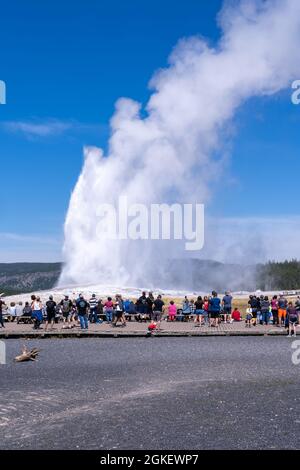 Wyoming, USA - 10 agosto 2021: Folle di turisti aspettano lungo le passerelle per far esplodere Old Faithful nel Parco Nazionale di Yellowstone Foto Stock