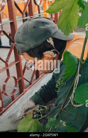 Moderno, difficile da udire, piccolo apparecchio acustico, Donna, 55, 60  anni, perdita dell'udito, Germania Foto stock - Alamy