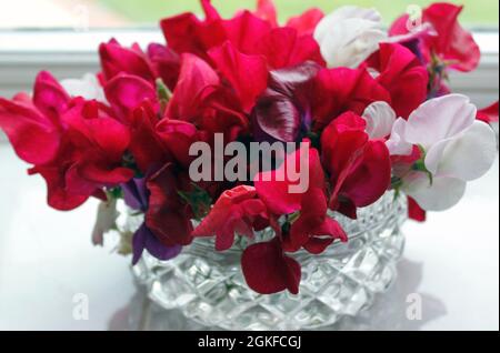 Davanzale posy di piselli dolci profumati rosa e bianco disposti in un vaso di cirstal Foto Stock